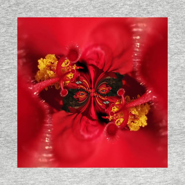 doodles and design based on a red and gold hibiscus flower by mister-john